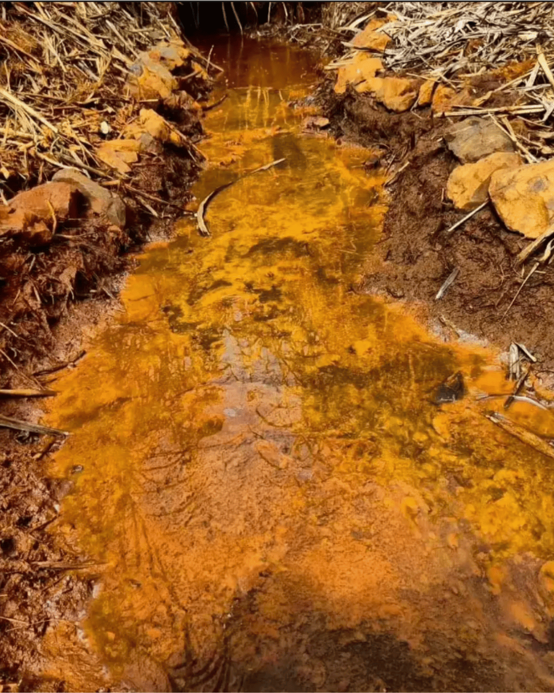 Untitled design (1) (2)